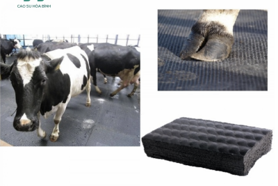 Đệm cao su lót chuồng trại